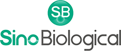 Logo Sino Biological